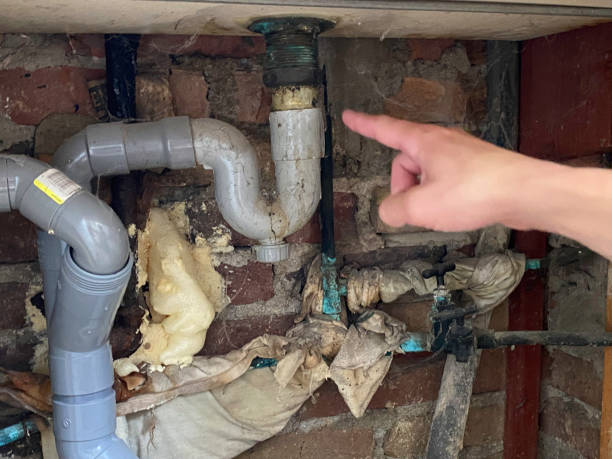 Best 24-hour water damage restoration  in Louisvle, IL