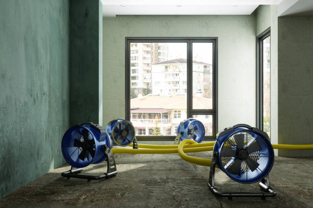 Best Water damage cleanup near me  in Louisvle, IL